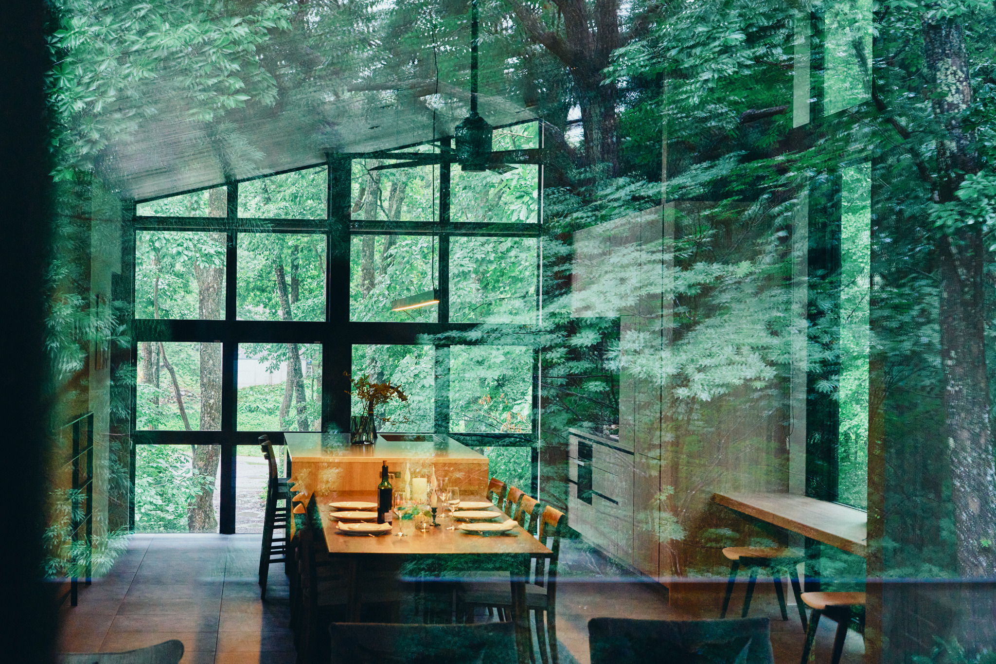 Forest reflections across the dining space